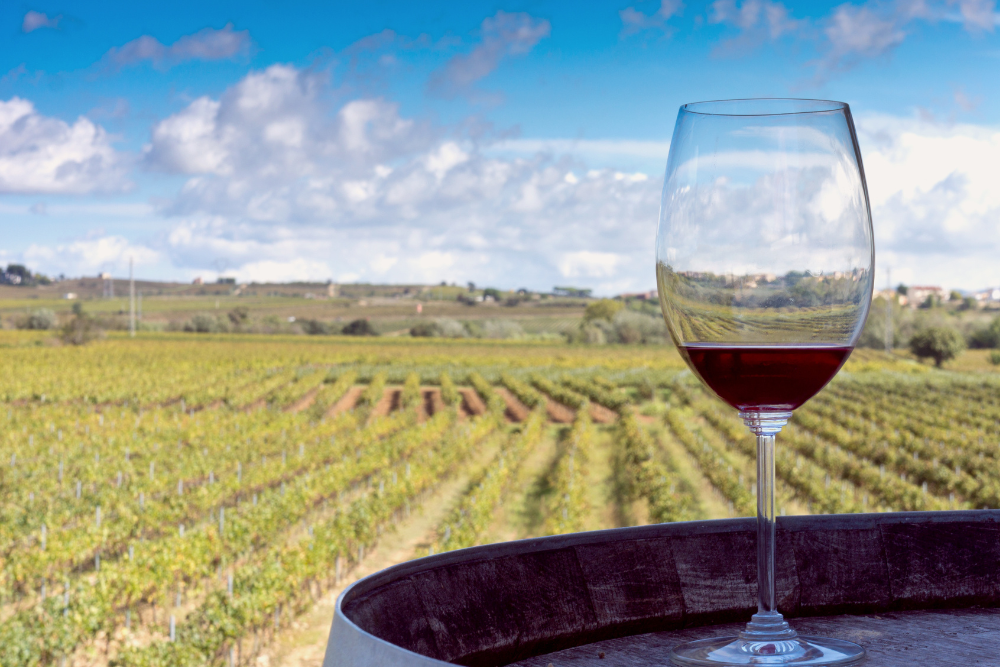 Clarksburg Wine Trail