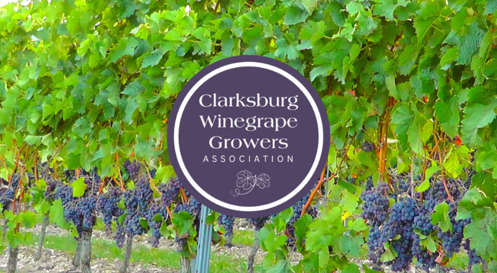 Clarksburg Winegrowers Association
